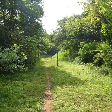 Sky Forest Habarana Exterior foto