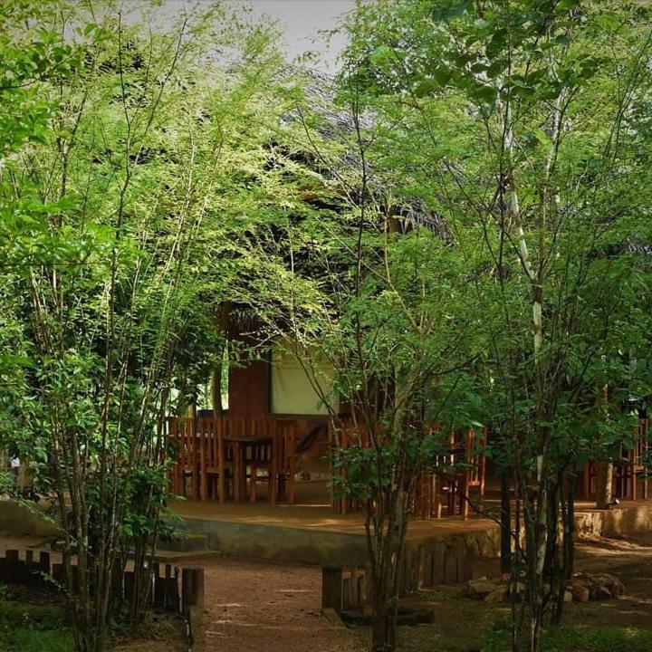Sky Forest Habarana Exterior foto